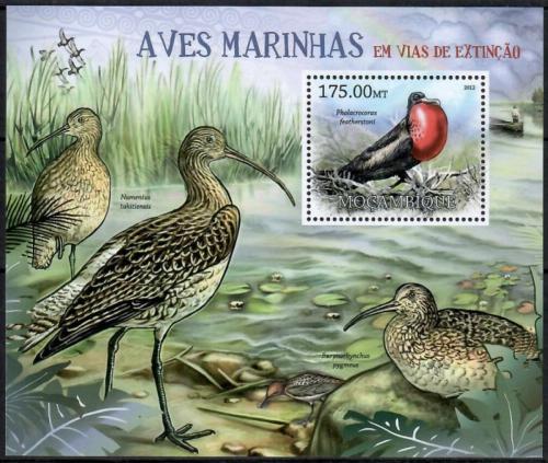 Poštovní známka Mosambik 2012 Moøští ptáci na cestì k vyhynutí Mi# Block 631 10€
