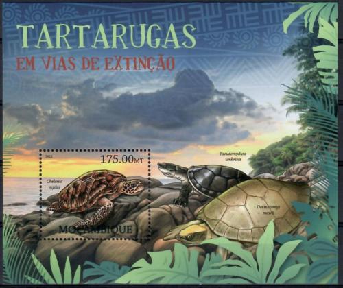 Poštovní známka Mosambik 2012 Želvy na cestì k vyhynutí Mi# Mi# Block 618 Kat 10€