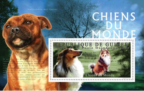 Poštovní známka Guinea 2009 Psi Mi# Block 1790 Kat 10€