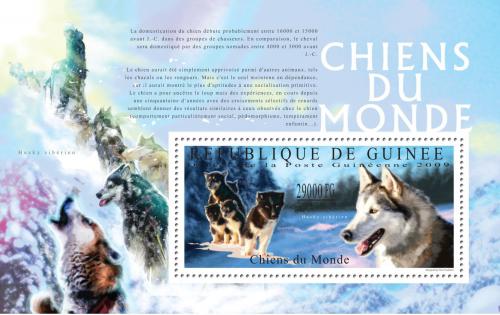 Poštovní známka Guinea 2009 Psi Mi# Block 1791 Kat 10€