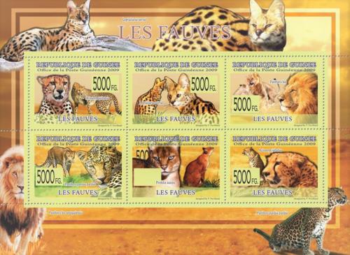 Poštovní známky Guinea 2009 Koèkovité šelmy Mi# 6457-62 Kat 12€