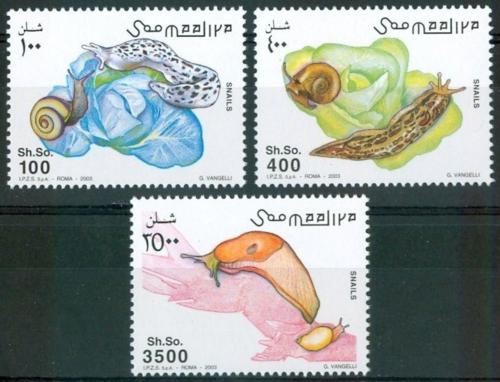 Poštovní známky Somálsko 2003 Šneci TOP SET Mi# N/N Vysoký Kat