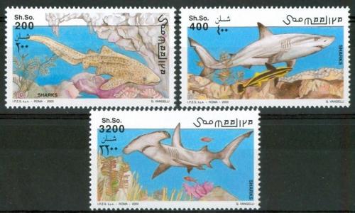 Poštovní známky Somálsko 2003 Žraloci TOP SET Mi# N/N Vysoký Kat