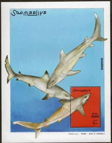 Poštovní známka Somálsko 2003 Žraloci Mi# N/N Vysoký Kat