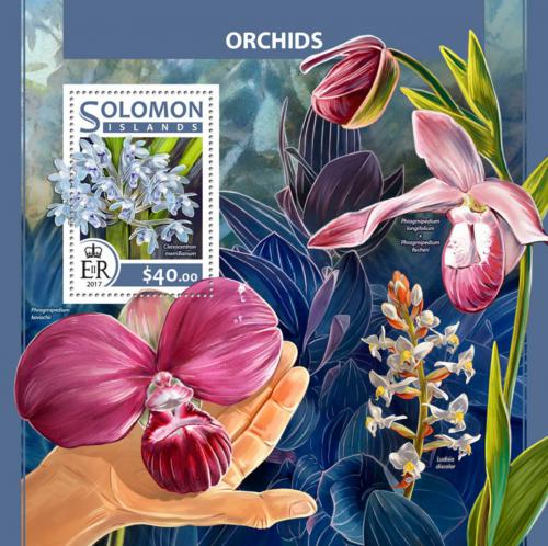 Poštovní známka Šalamounovy ostrovy 2017 Orchideje Mi# Block 636 Kat 12€