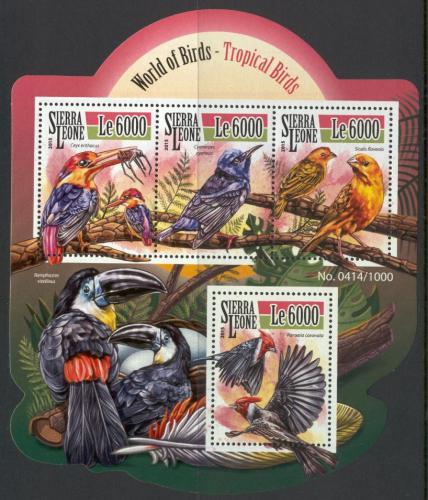 Poštovní známky Sierra Leone 2015 Tropiètí ptáci Mi# 6568-71 Kat 11€