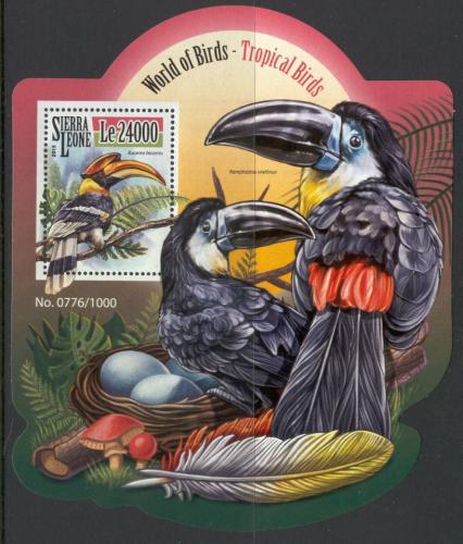 Poštovní známka Sierra Leone 2015 Tropiètí ptáci Mi# Block 849 Kat 11€