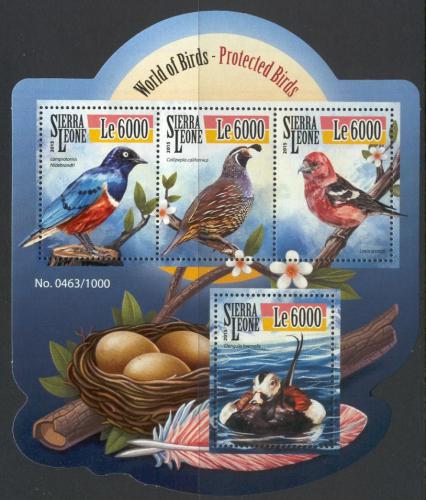 Poštovní známky Sierra Leone 2015 Chránìní ptáci Mi# 6572-75 Kat 11€