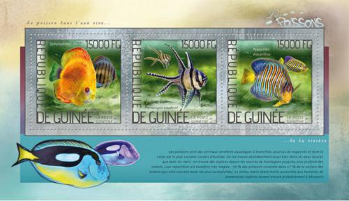 Poštovní známky Guinea 2014 Ryby Mi# 10323-25 Kat 18€