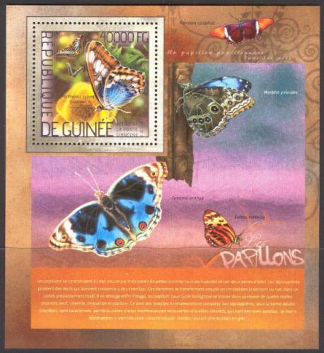 Poštovní známka Guinea 2014 Motýli Mi# Block 2353 Kat 16€