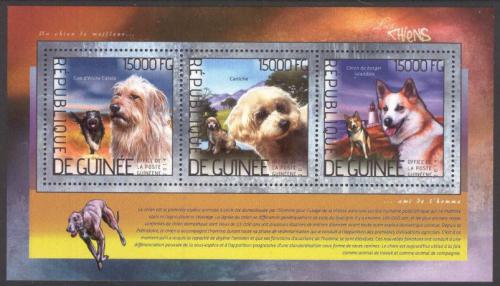 Poštovní známky Guinea 2014 Psi Mi# 10403-05 Kat 18€