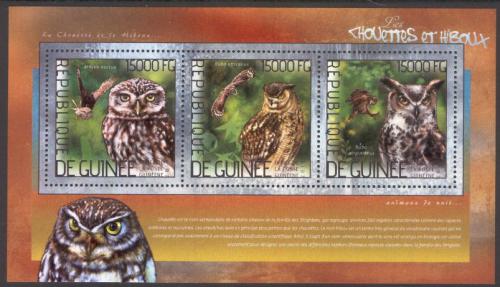 Poštovní známky Guinea 2014 Sovy Mi# 10351-53 Kat 18€