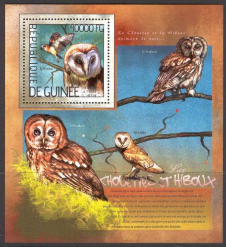 Poštovní známka Guinea 2014 Sovy Mi# Block 2363 Kat 16€