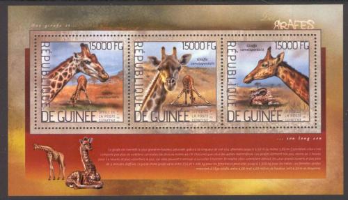 Poštovní známky Guinea 2014 Žirafy Mi# 10367-69 Kat 18€