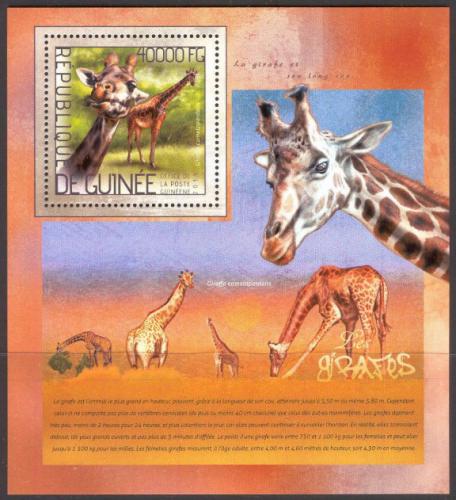 Poštovní známka Guinea 2014 Žirafy Mi# Block 2367 Kat 16€