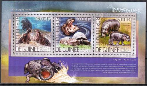 Poštovní známky Guinea 2014 Hroši Mi# 10379-81 Kat 18€