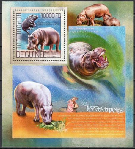 Poštovní známka Guinea 2014 Hroši Mi# Block 2370 Kat 16€