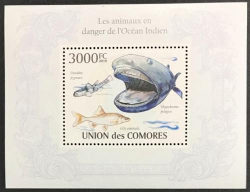Poštovní známka Komory 2009 Ryby Indického oceánu Mi# Block 579 Kat 15€