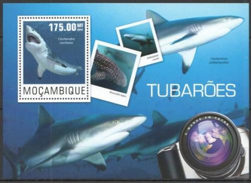 Poštovní známka Mosambik 2014 Žraloci Mi# Block 954 Kat 10€