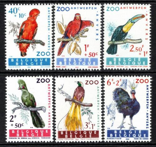 Poštovní známky Belgie 1962 Ptáci Mi# 1276-81