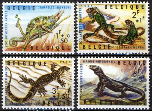 Poštovní známky Belgie 1965 Obojživelníci a plazi Mi# 1401-04 