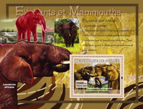 Poštovní známka Guinea 2007 Sloni a mamuti Mi# Block 1207