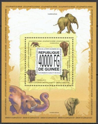 Poštovní známka Guinea 2013 Sloni Mi# Block 2301 Kat 16€