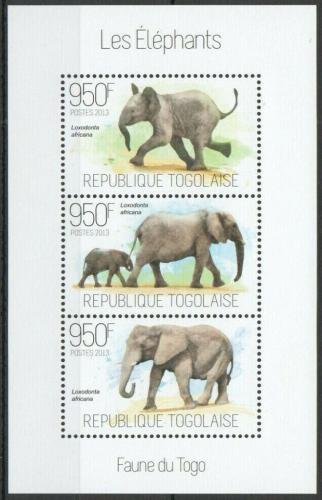 Poštovní známky Togo 2013 Sloni Mi# 5271-73 Kat 11€