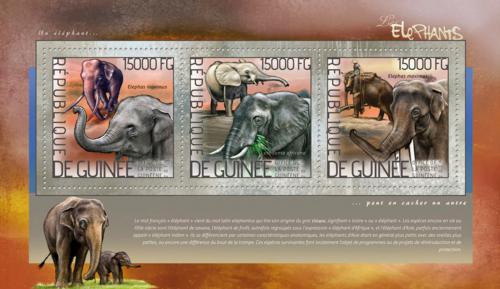 Poštovní známky Guinea 2014 Sloni Mi# 10383-85 Kat 18€