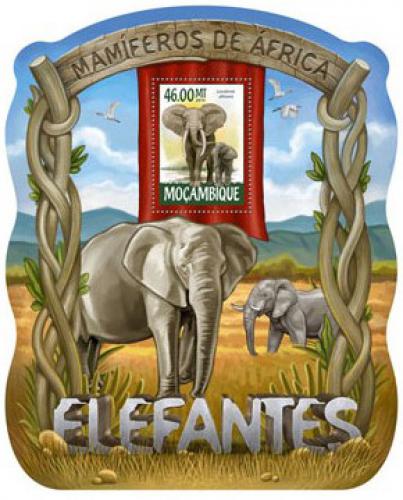 Poštovní známka Mosambik 2015 Sloni Mi# 7970 Block