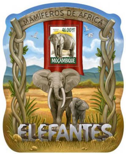 Poštovní známka Mosambik 2015 Sloni Mi# 7971 Block