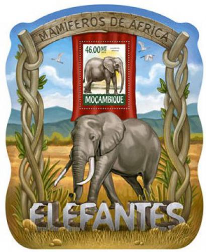 Poštovní známka Mosambik 2015 Sloni Mi# 7972 Block