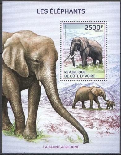 Poštovní známka Pobøeží Slonoviny 2014 Sloni Mi# Block 210 Kat 11€