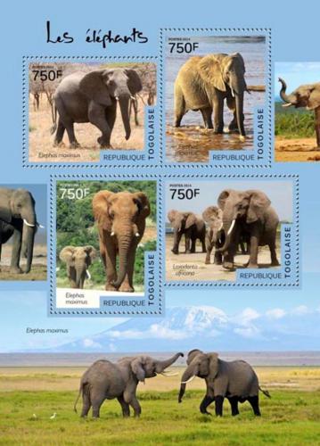 Poštovní známky Togo 2014 Sloni Mi# 6136-39 Kat 12€