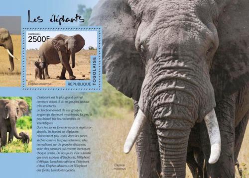 Poštovní známka Togo 2014 Sloni Mi# Block 1048 Kat 10€
