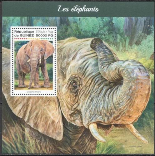 Poštovní známka Guinea 2018 Sloni Mi# Block 2883 Kat 20€