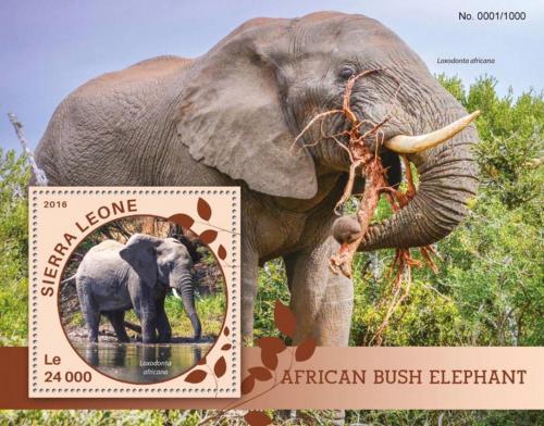 Poštovní známka Sierra Leone 2016 Sloni Mi# Block 908 Kat 11€