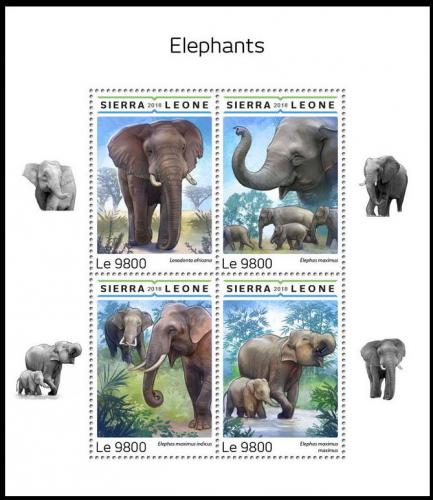 Poštovní známky Sierra Leone 2018 Sloni Mi# 9961-64 Kat 11€