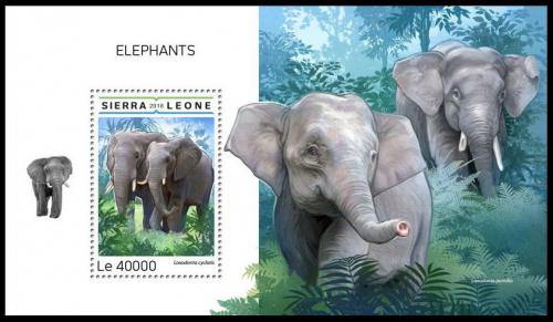 Poštovní známka Sierra Leone 2018 Sloni Mi# Block 1501 Kat 11€