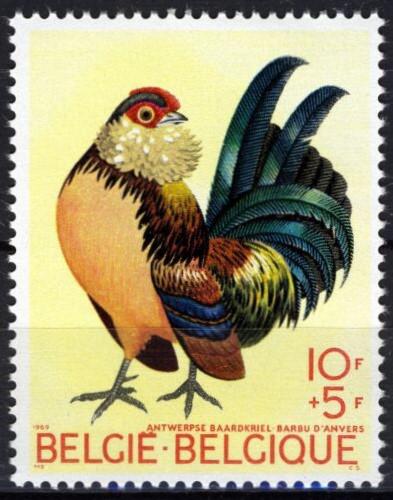 Poštovní známka Belgie 1969 Kohout Mi# 1572