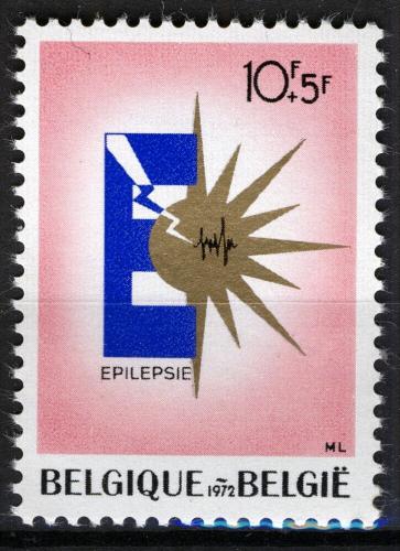Poštovní známka Belgie 1972 Léèebný ústav Williama Lennoxe Mi# 1693