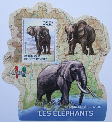 Poštovní známka Pobøeží Slonoviny 2014 Sloni Mi# 1610 Block