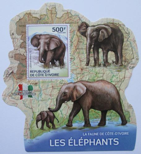 Poštovní známka Pobøeží Slonoviny 2014 Sloni Mi# 1611 Block