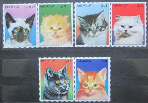 Poštovní známky Paraguay 1984 Koèky Mi# 3811-16
