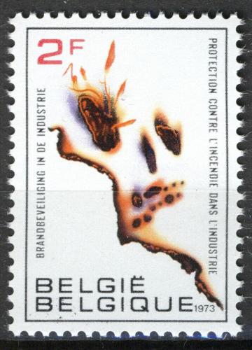 Poštovní známka Belgie 1973 Protipožární ochrana Mi# 1713