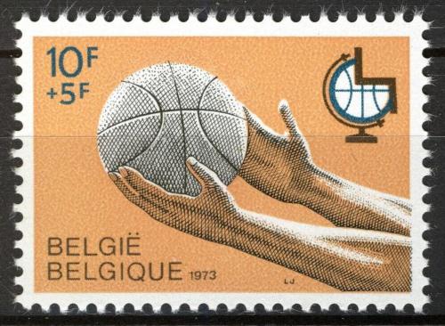 Poštovní známka Belgie 1973 Basketbal pro hendikepované Mi# 1719