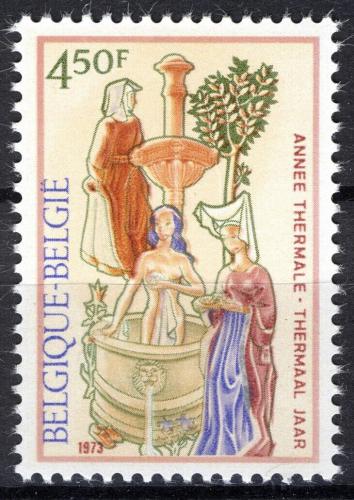 Poštovní známka Belgie 1973 Rok termálních lázní Mi# 1736