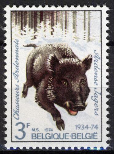 Poštovní známka Belgie 1974 Divoké prase Mi# 1785