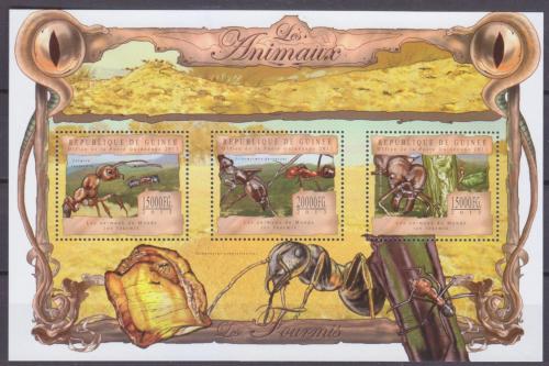 Poštovní známky Guinea 2013 Mravenci Mi# 9789-91 Kat 20€