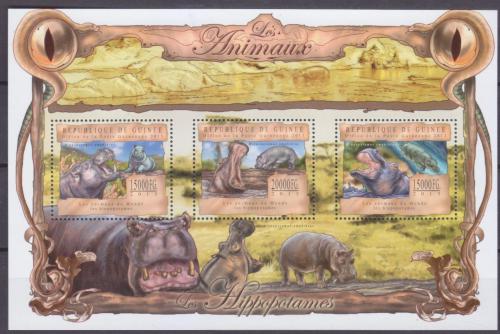 Poštovní známky Guinea 2013 Hroši Mi# 9821-23 Kat 20€
